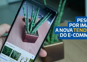 Celular foca planta para pesquisa por imagem no e-commerce.