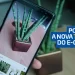 Celular foca planta para pesquisa por imagem no e-commerce.