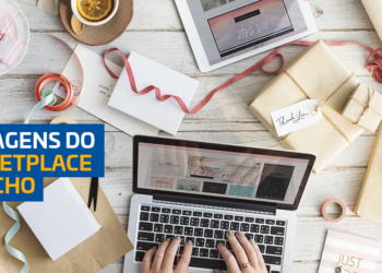 Conheça as vantagens de trabalhar com marketplace de nicho