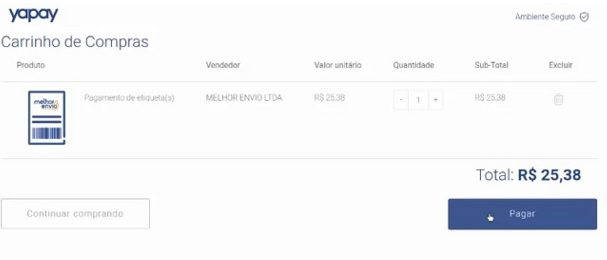 Confirme o pagamento na plataforma da Yapay