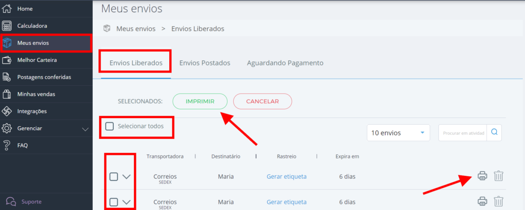 Selecione os envios liberados e clique no ícone de impressora para emitir a etiqueta