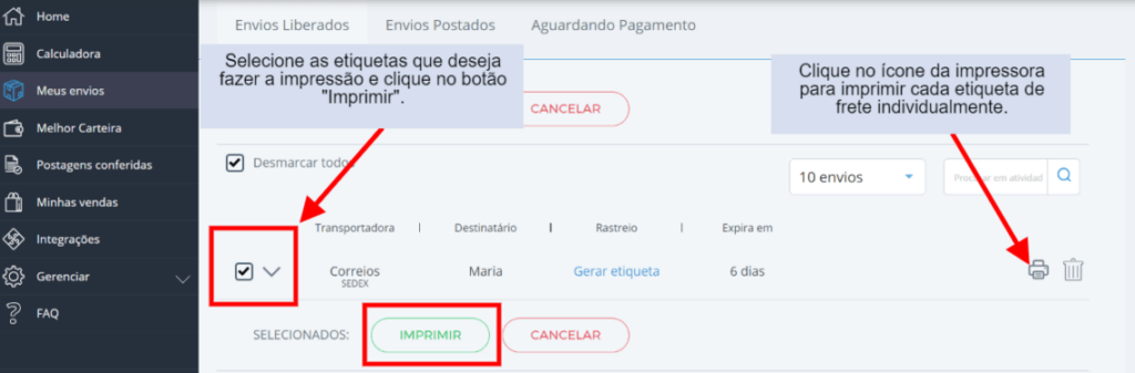Clique no botão verde "Imprimir" ou no ícone de impressora