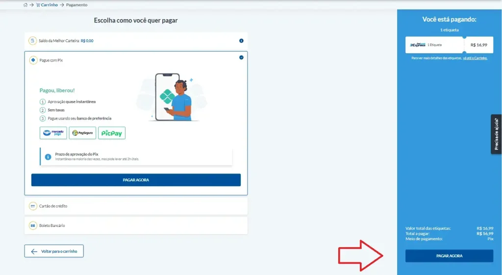 métodos de pagamento: saldo, pix, crédito, boleto
