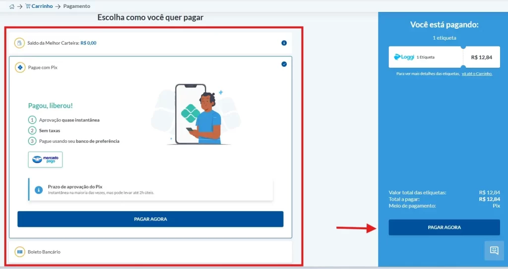 tela de finalização de compra com diferentes opções de pagamento, saldo da carteira, pix e boleto bancário