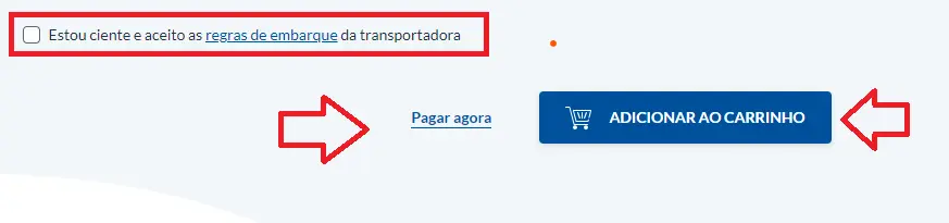 Aceite as regras de embarque e adicione ao carrinho ou "Pague agora"